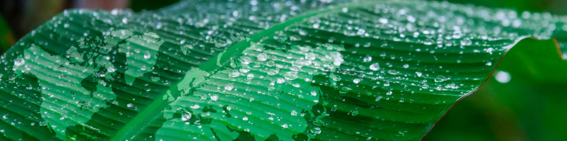 Banner sustainability measures